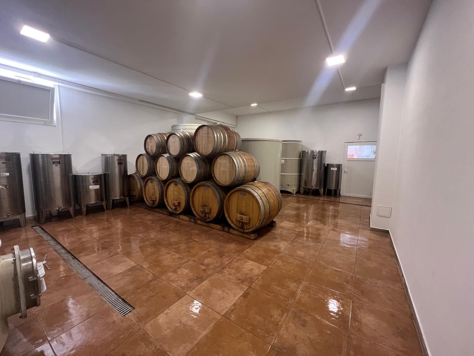 Vinarija Mimica – fotografija