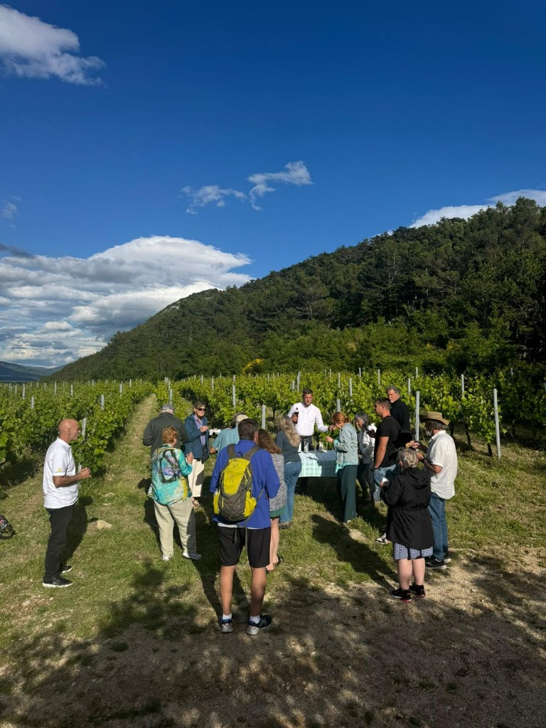 Grupa gostiju na degustaciji u vinogradu Vinarije Mimica