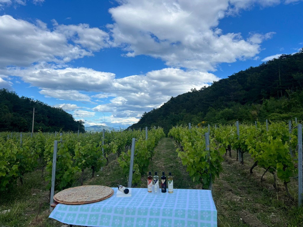Degustacija vina i soparnika među vinovim trsovima Vinarije Mimica